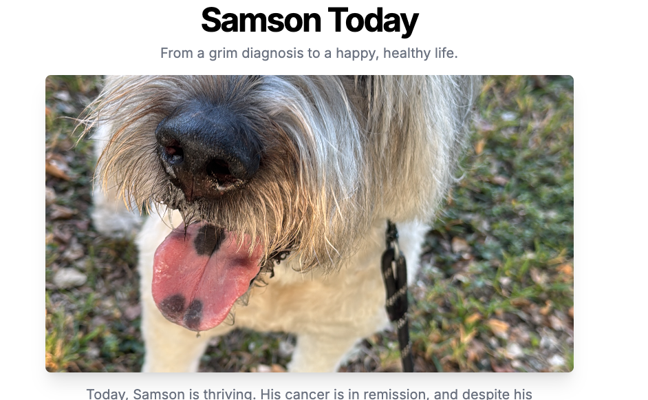 Samson close-up