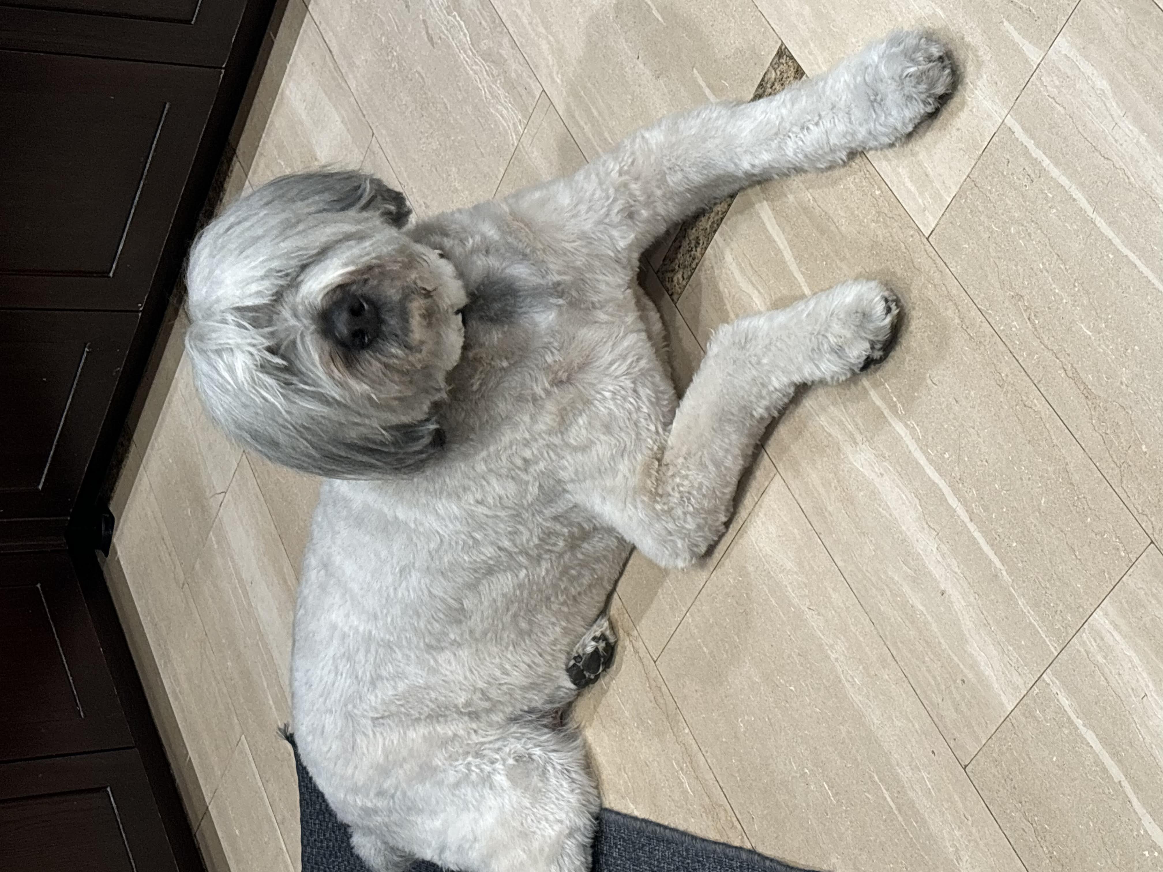Samson at diagnosis