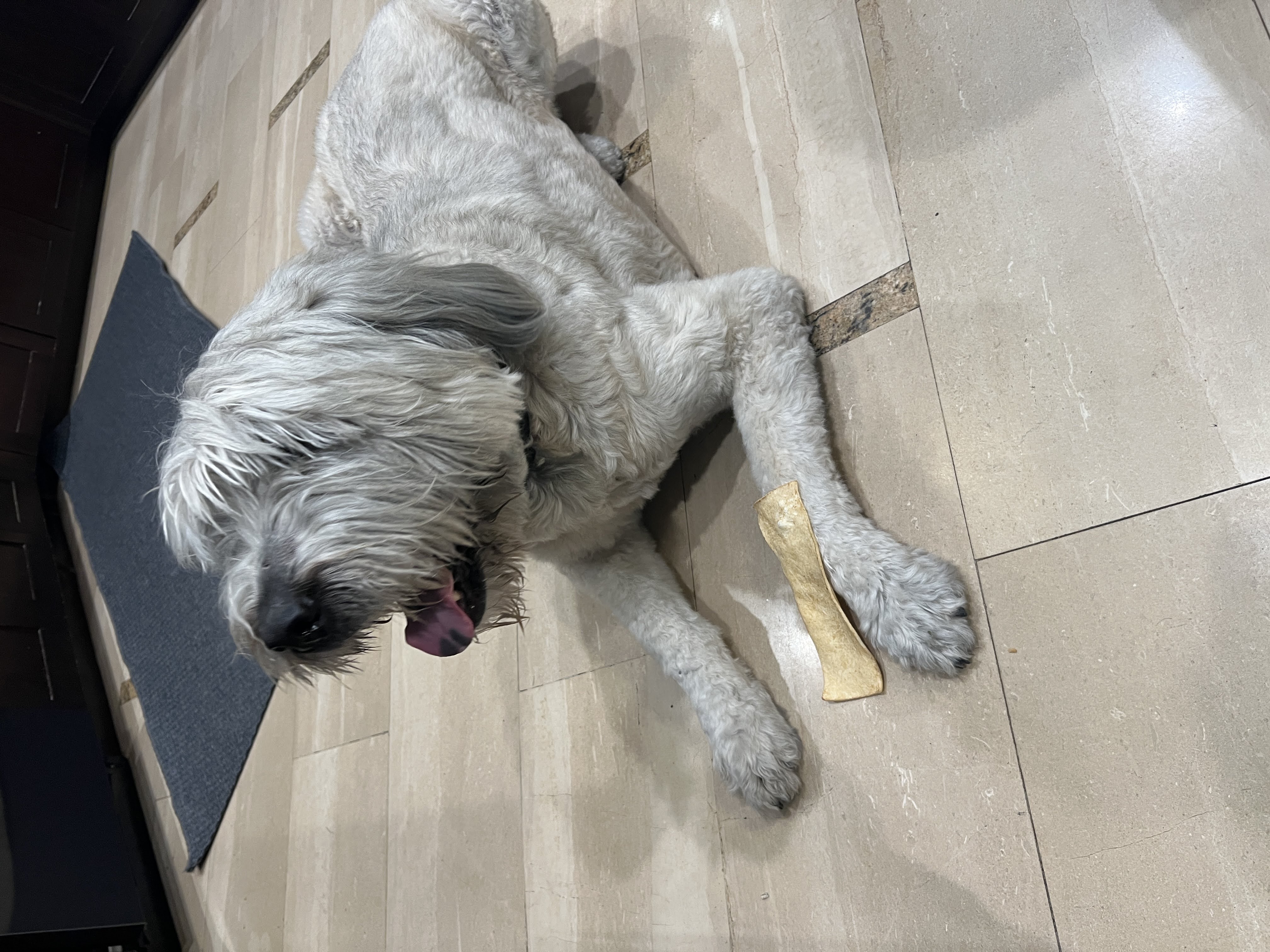 Samson with bone